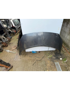 capot renault scenic 2005