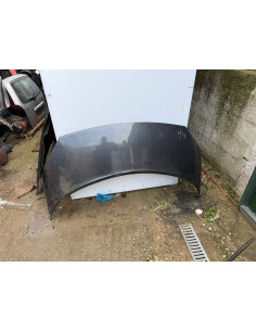 capot renault scenic 2004