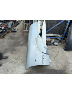 guarda lamas dt mercedes e220